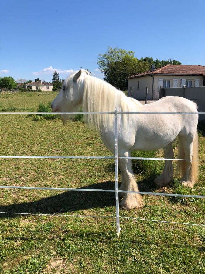 Le Cottage de Romas Villeneuve-sur-Lot Esterno foto